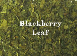blackberry-leaf__large