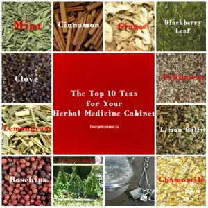 herbal tea collage