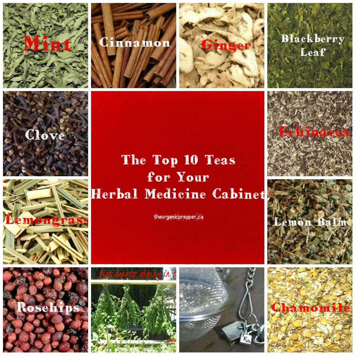 Teas For Your Herbal Medicine Cabinet The Organic Prepper