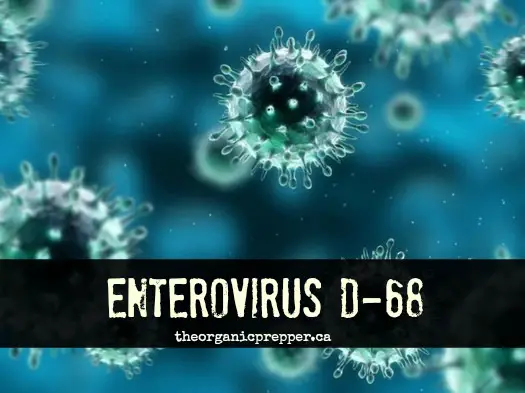 Enterovirus_D68_photo
