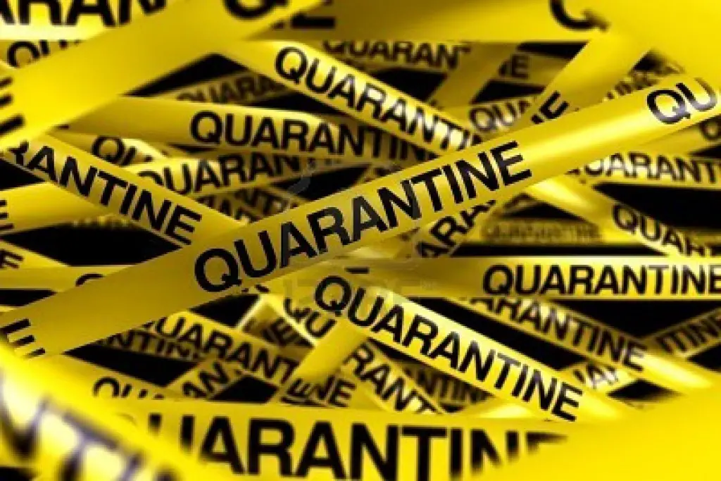 quarantine tape