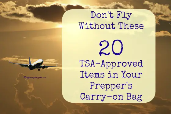 Where can you find a list of TSA-approved airline carry-on items?