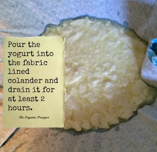 Drain the yogurt