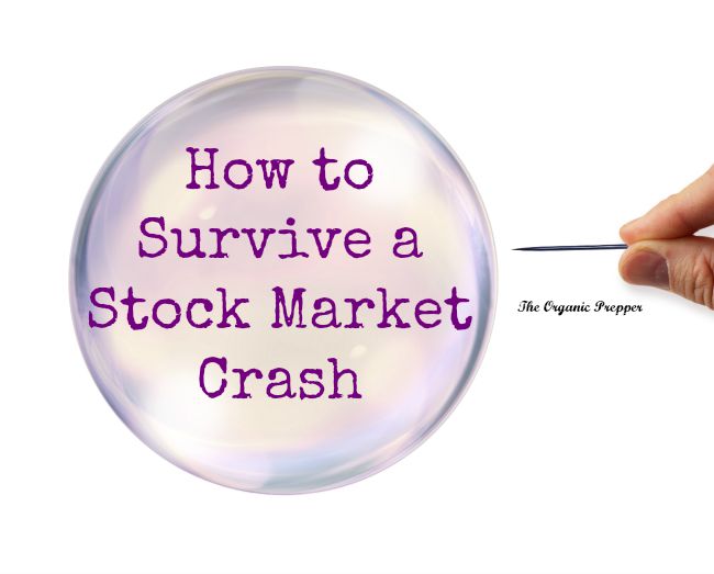 stocks survive stock market crashed