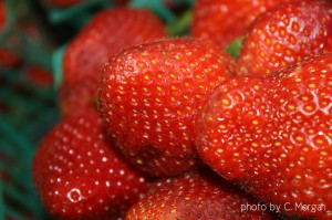 strawberriescmorgan