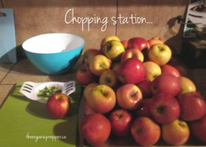 Apple chopping station