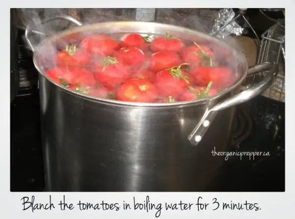 Blanch the tomatoes in boiling water