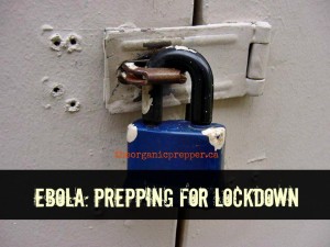 Getting ready for lockdown in the event of an Ebola pandemic