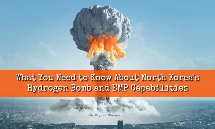 North Korea s Hydrogen Bomb and EMP Capabilities The 